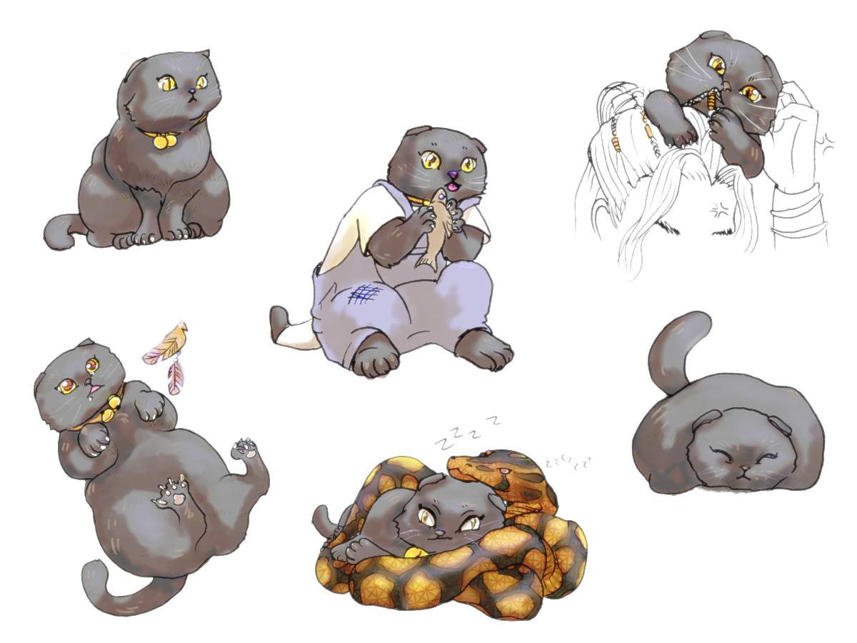 Da Qing being a chunky cat, chunking along.